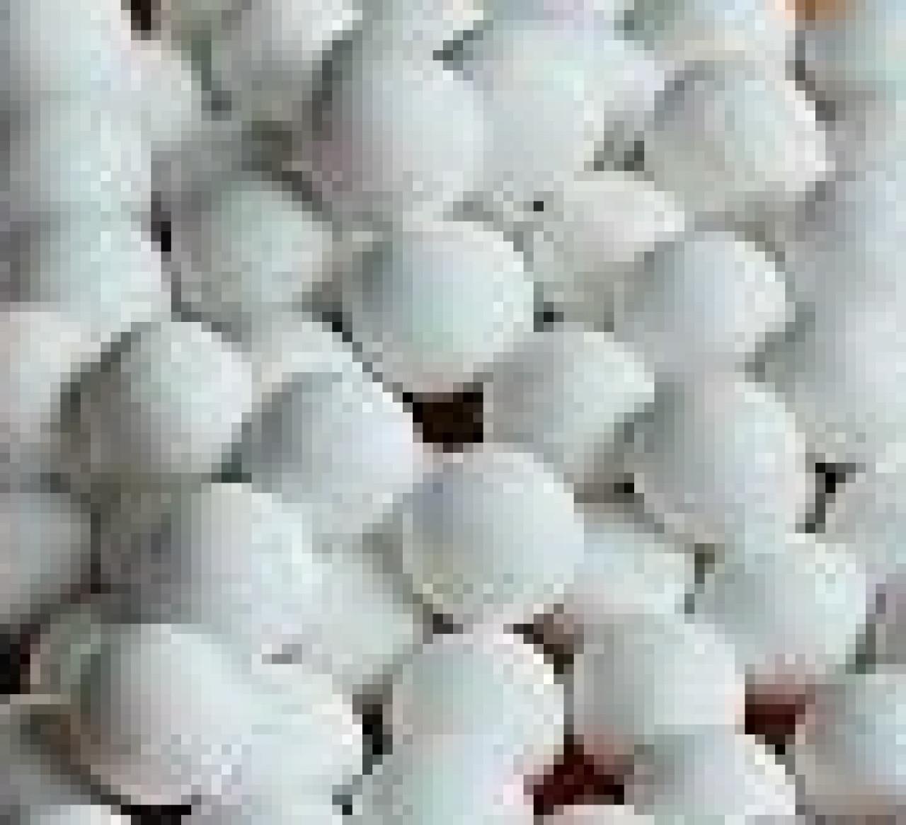 Csapágygolyó RB 12,7 G28 AL2O3 KERÁMIA (1/2")