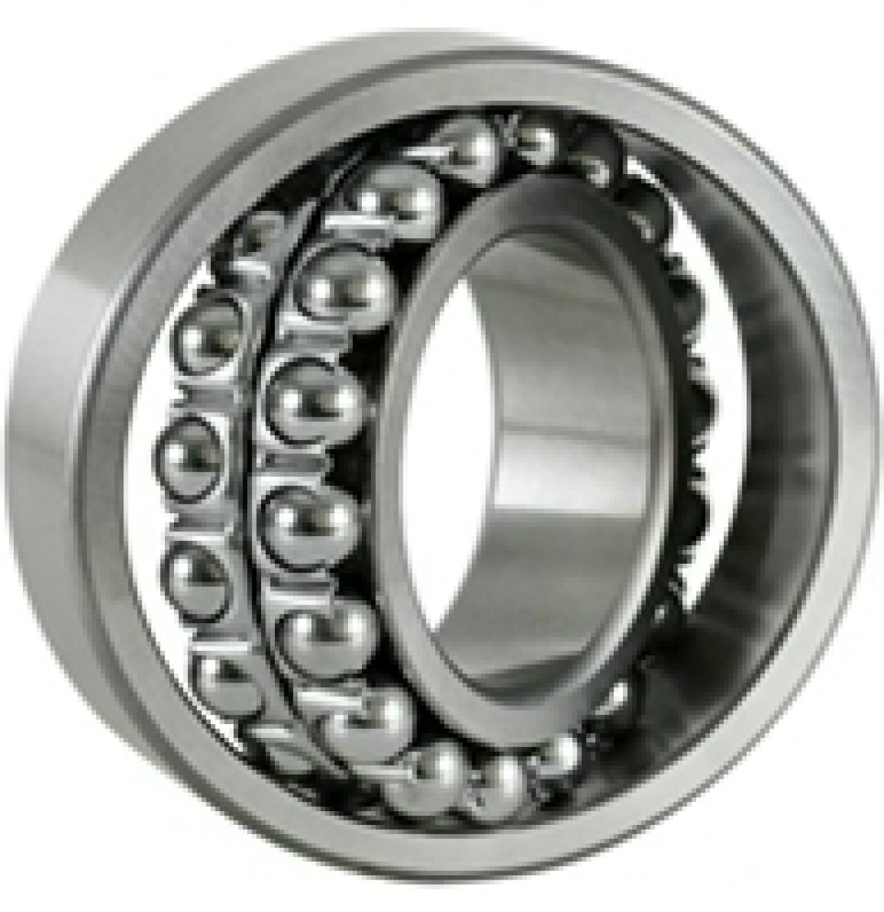1309 K (ZKL)