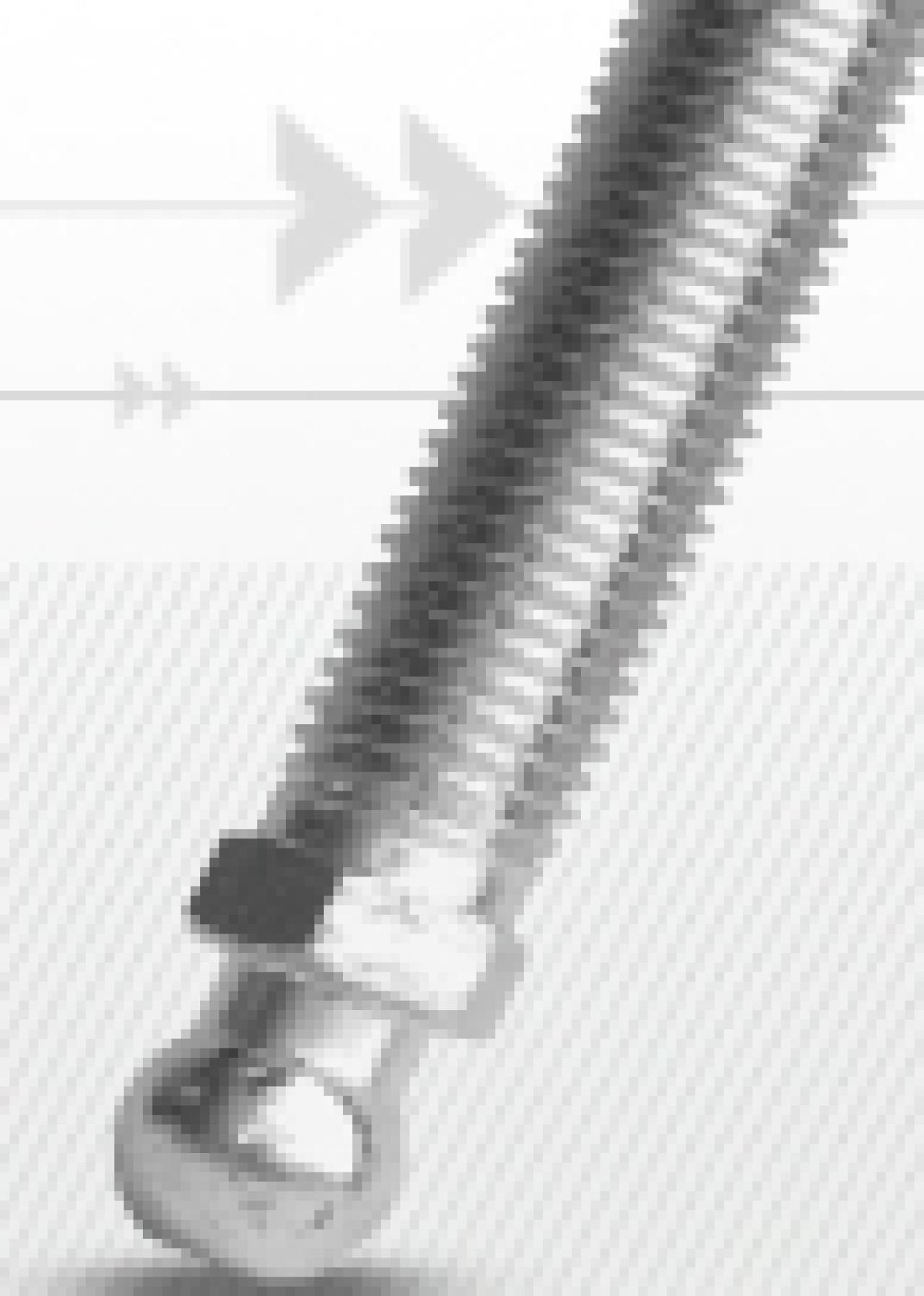 Gépláb csavar M 8*70 R12,4 (EU)