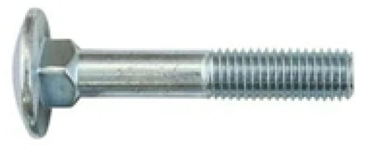 Kapupánt csavar M 6* 25 DIN603 VZB (EU)